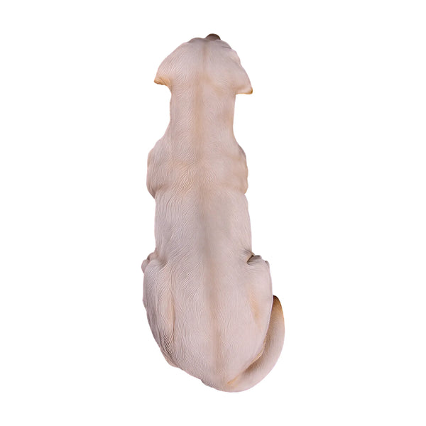 labrador-lying-down-yellow-back-view