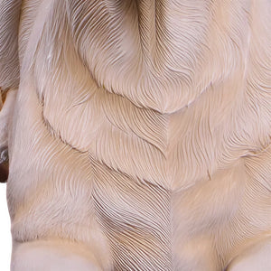 labrador-lying-down-yellow-detail