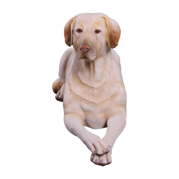 labrador-lying-down-yellow-front-view