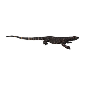 Lace Monitor 4ft (Not in Aus)
