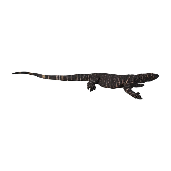 Lace Monitor 4ft (Not in Aus)