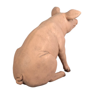 Large Pig (Not in Aus)
