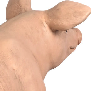 Large Pig (Not in Aus)