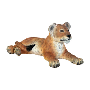 Lion Cub - Lying down (Not in Aus)