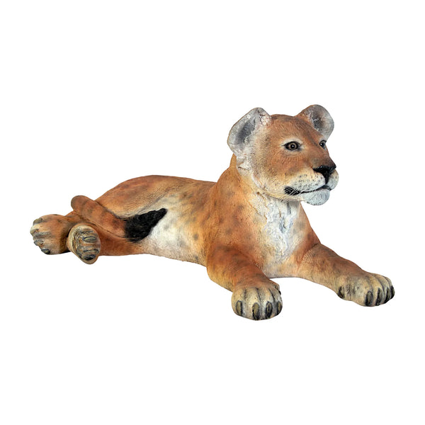 Lion Cub - Lying down (Not in Aus)