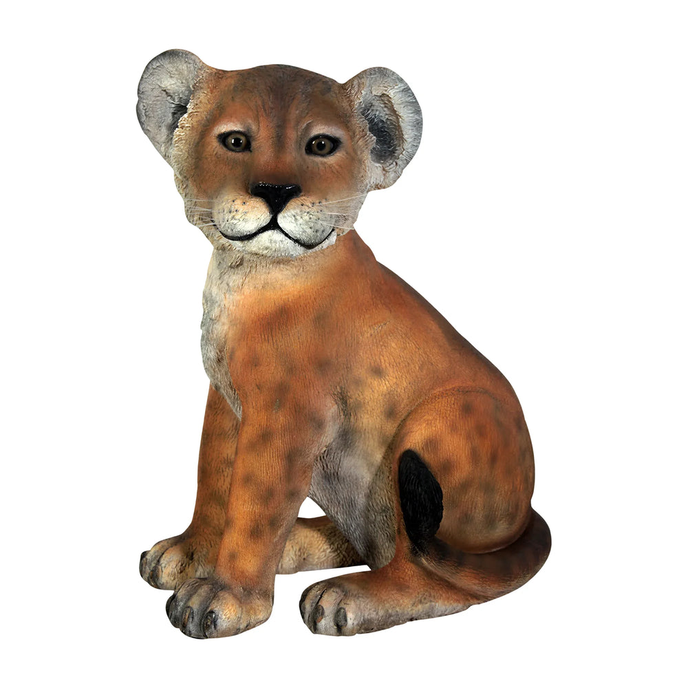 Lion Cub - Sitting (Not in Aus)
