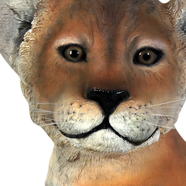 Lion Cub - Sitting (Not in Aus)