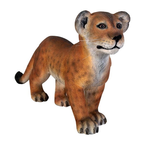 Lion Cub - Standing (Not in Aus)