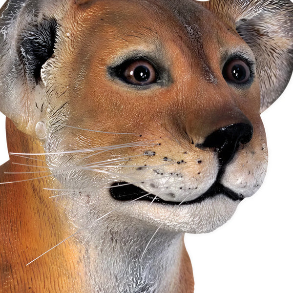 Lion Cub - Standing (Not in Aus)