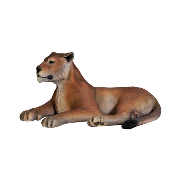 Lioness Lying Down (Not in Aus)