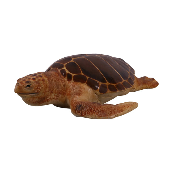 Loggerhead Turtle (Not in Aus)