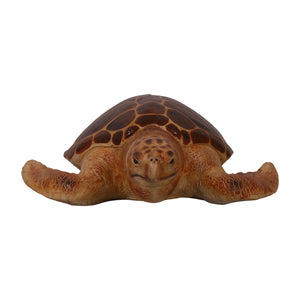 Loggerhead Turtle (Not in Aus)