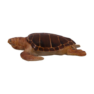 Loggerhead Turtle (Not in Aus)