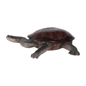Long-neck Turtle