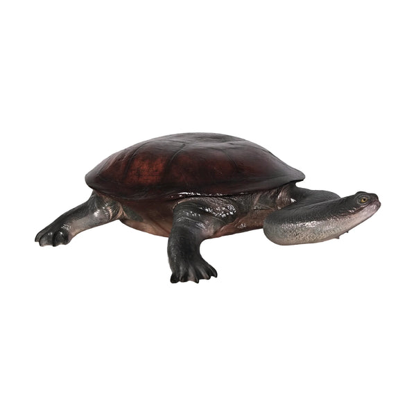 Long-neck Turtle