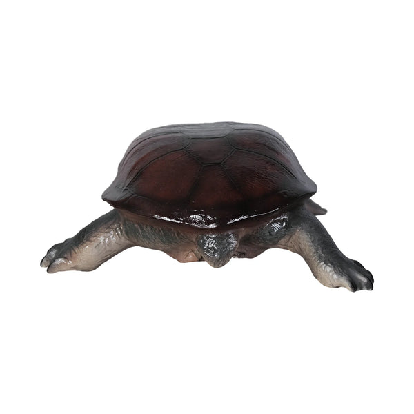 Long-neck Turtle