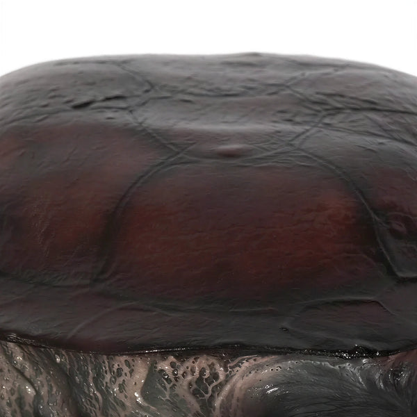 Long-neck Turtle