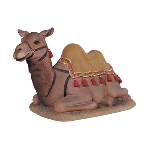 Lying Camel (Not In Usa/Canada)