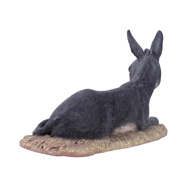 Lying Donkey (Not In Usa/Canada)