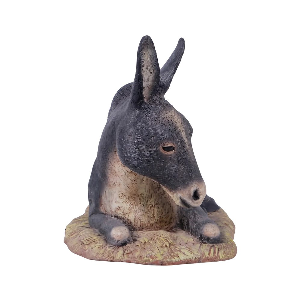Lying Donkey (Not In Usa/Canada)