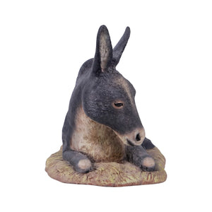 Lying Donkey (Not In Usa/Canada)