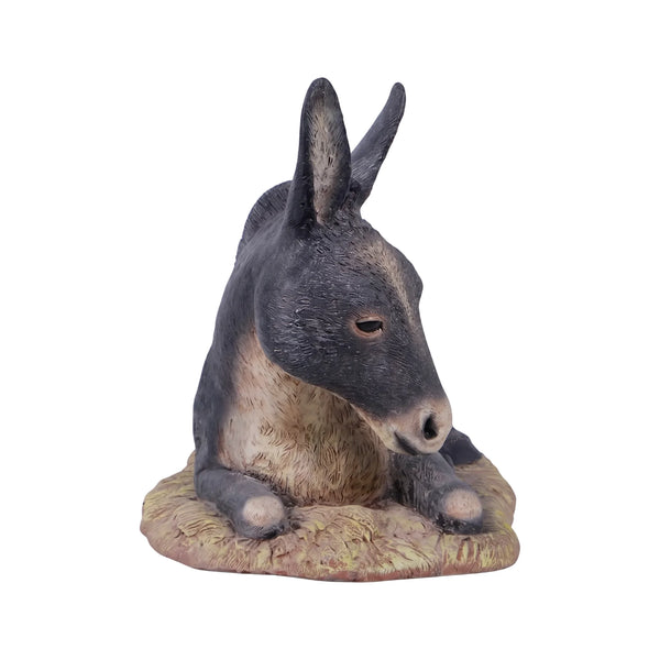 Lying Donkey (Not In Usa/Canada)