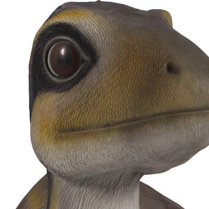 Lying Juvenile Theropod (Not In Aus)