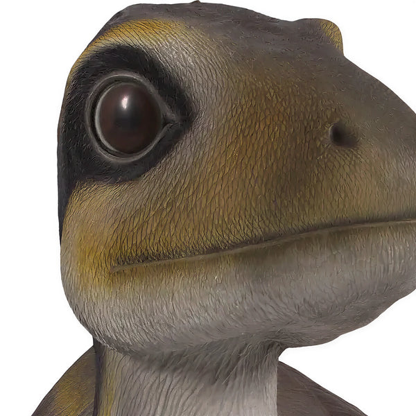 Lying Juvenile Theropod (Not In Aus)