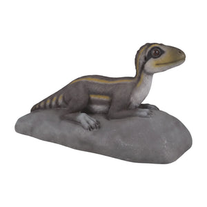 Lying Juvenile Theropod (Not In Aus)