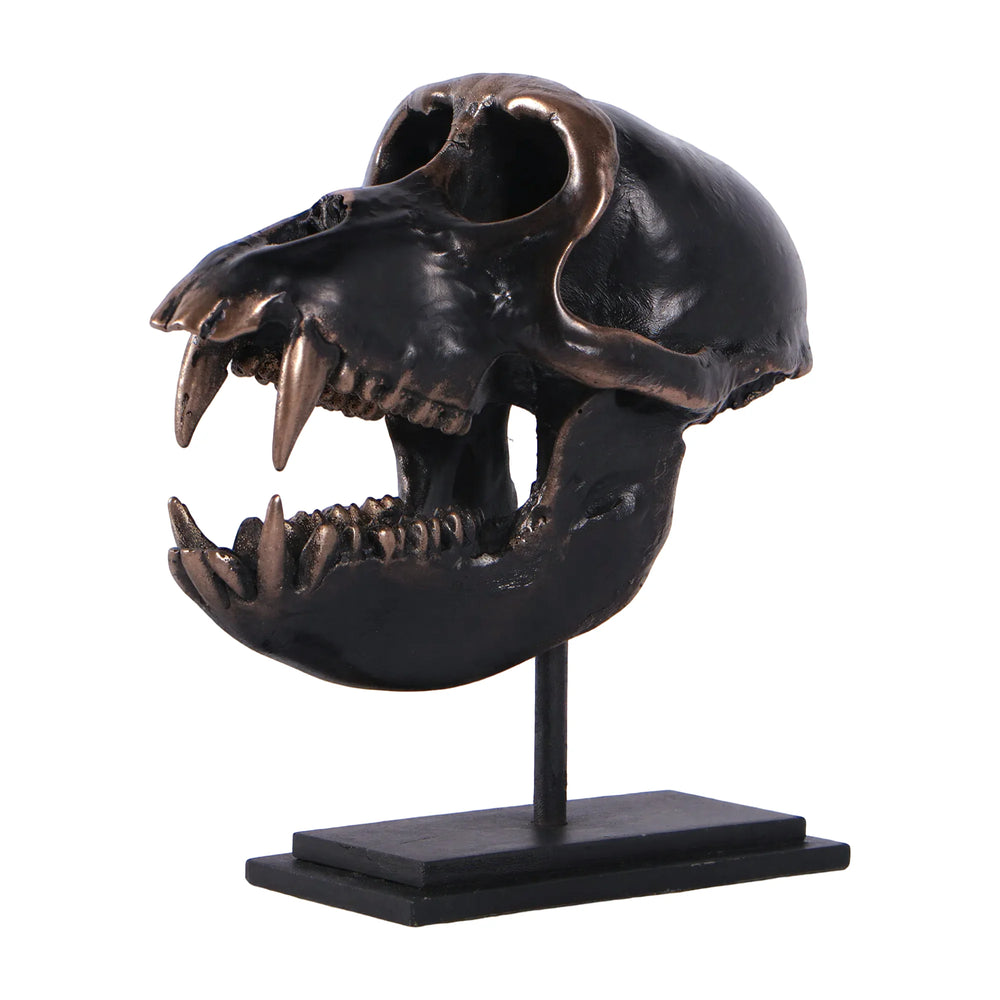 Macaque Skull on Base