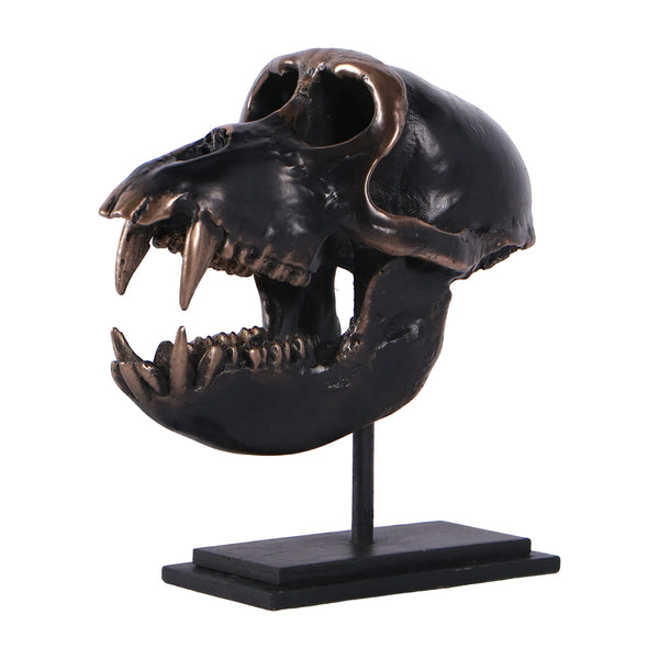 Macaque Skull on Base
