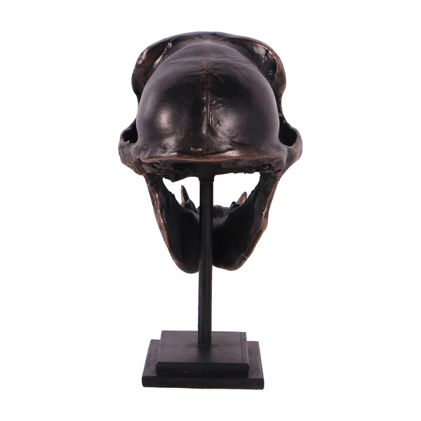 Macaque Skull on Base