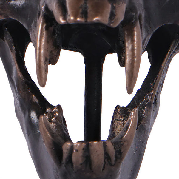 Macaque Skull on Base