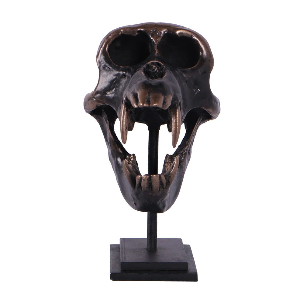 Macaque Skull on Base