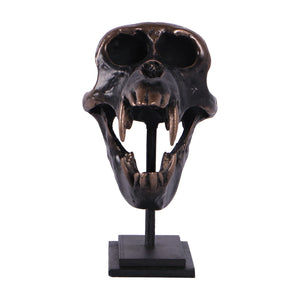 Macaque Skull on Base