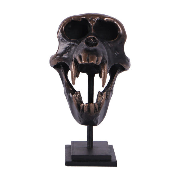 Macaque Skull on Base
