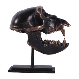 Macaque Skull on Base