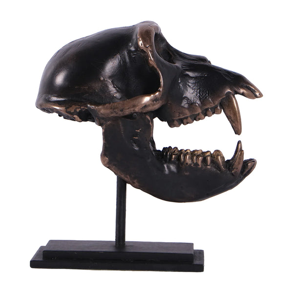 Macaque Skull on Base