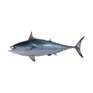 Mackerel Tuna (not in AUS)