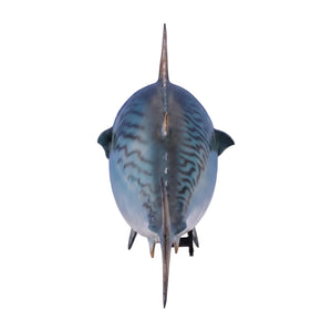 Mackerel Tuna (not in AUS)