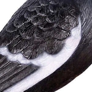 Magpie (not in Aus)