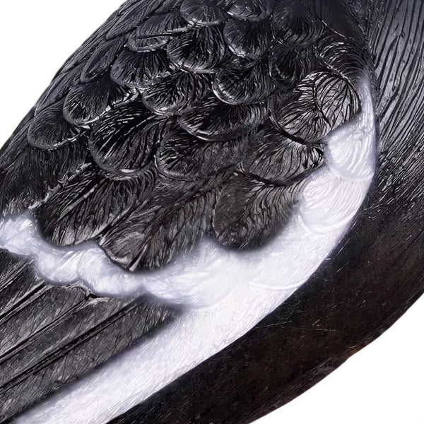 Magpie (not in Aus)