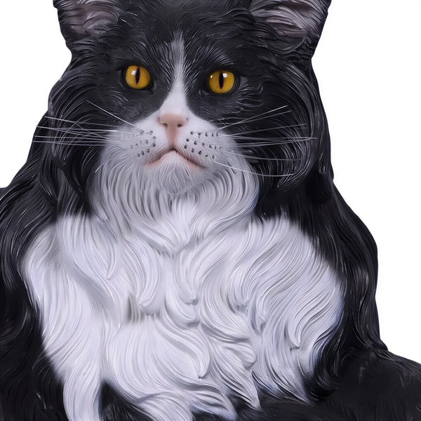 Maine Coon Cat