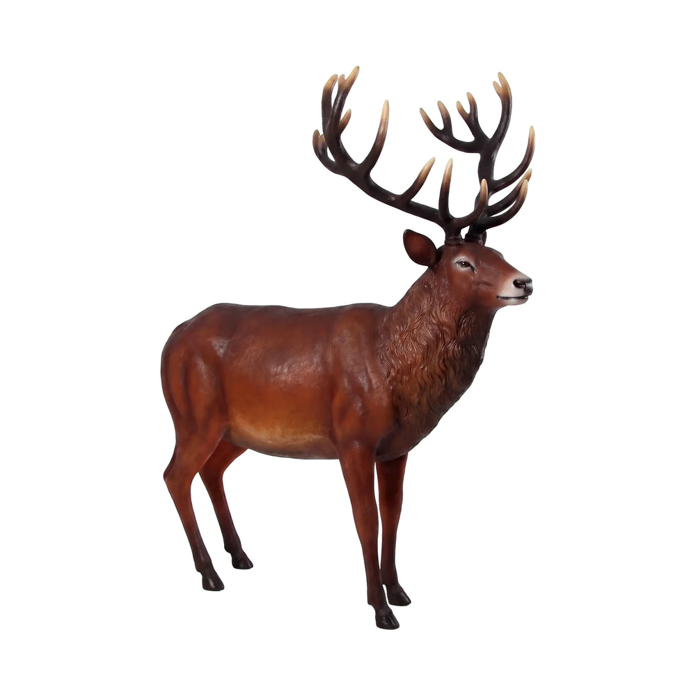 Majestic Red Stag