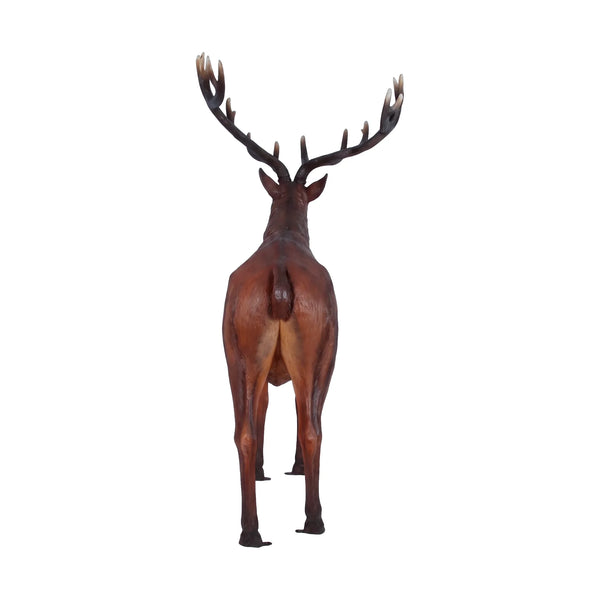 Majestic Red Stag