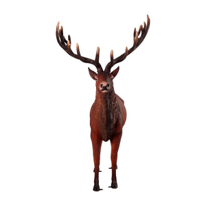 Majestic Red Stag