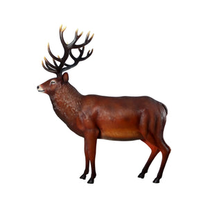 Majestic Red Stag