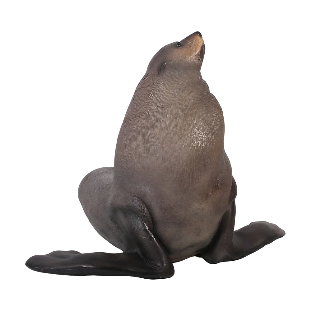 Male Fur Seal (Not in Aus)