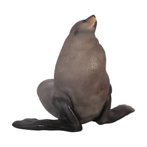 Male Fur Seal (Not in Aus)
