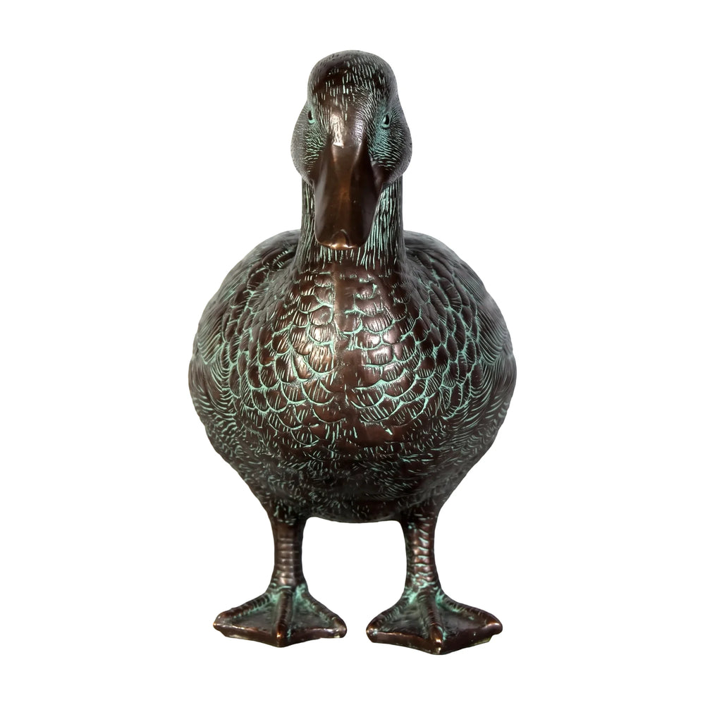 Male Mallard Duck
